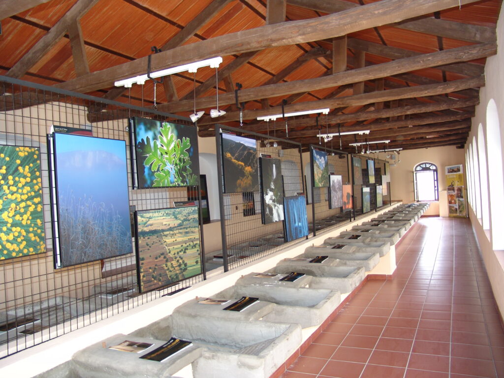 Exposiciones el lavadero