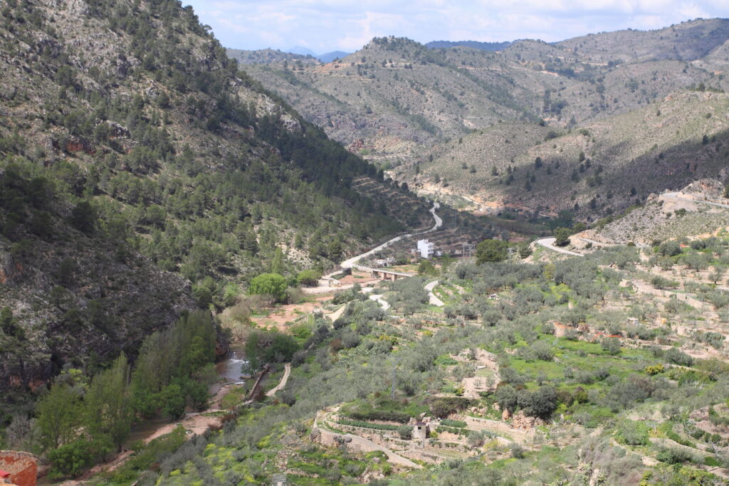 Vista Panorámica desde los miradores