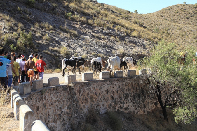 Encierros Tradicionales