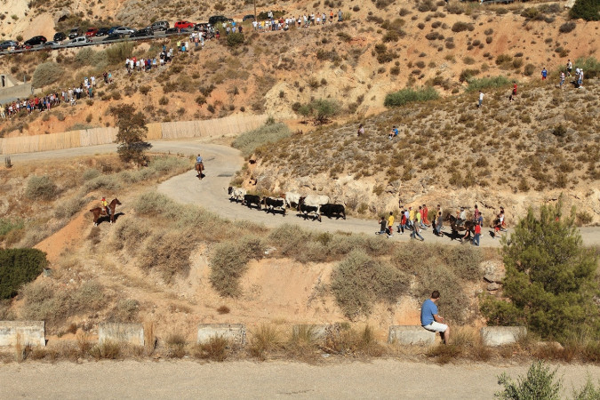 Encierros Tradicionales