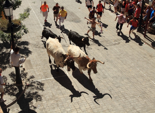 Encierros Tradicionales