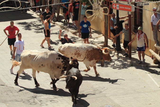 Encierros Tradicionales